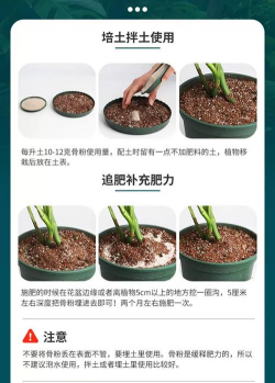 家庭养花用生根粉