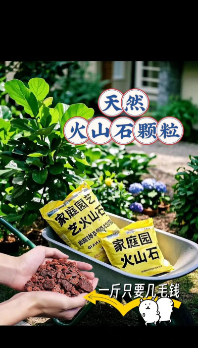 家庭养花用生根粉