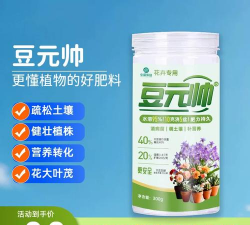 养花豆肥什么最好