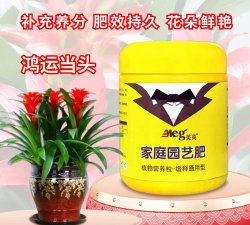 家庭养花用生根粉