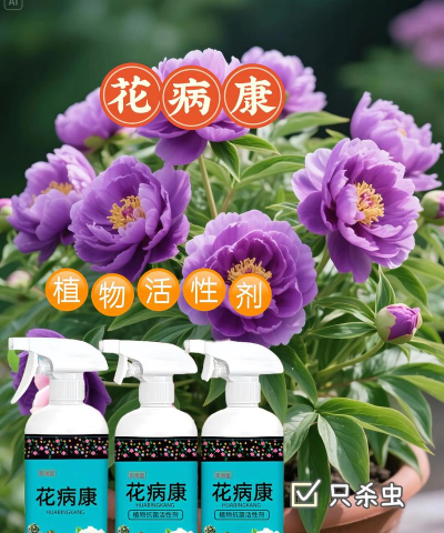 家庭养花用生根粉