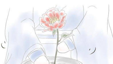 家庭养花用生根粉