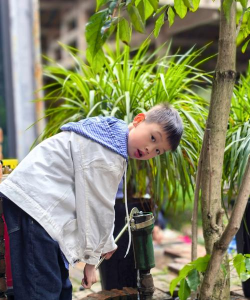 家庭养花用生根粉