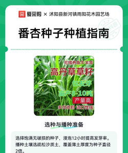 番杏种子怎么种植