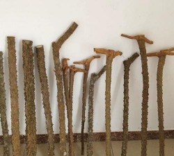 保养花椒树棍子