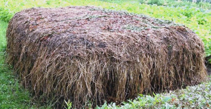 枯草可以堆肥养花吗