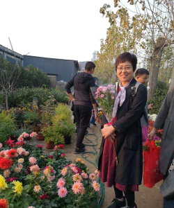 家庭养花用生根粉