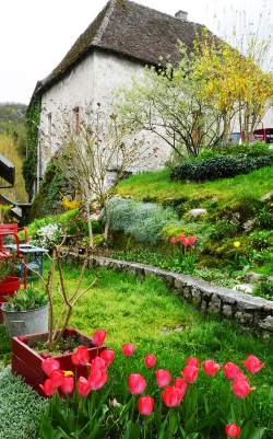 瑞士农村喜欢养花吗