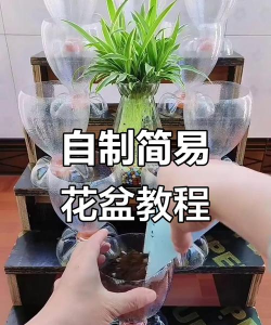 怎么制作酸水养花