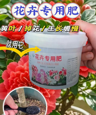 家庭养花用生根粉