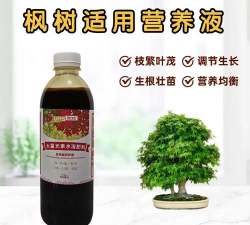 鸡爪槭使用什么肥