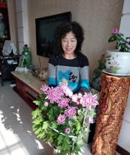 家庭养花用生根粉