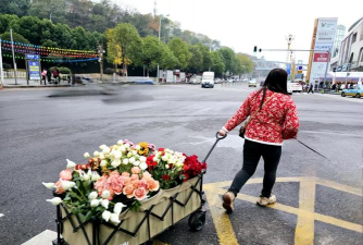 家庭养花用生根粉