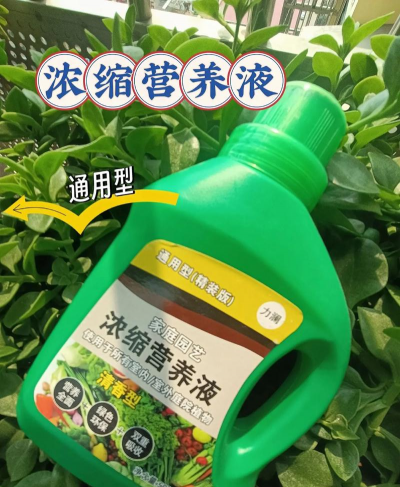 家庭养花用生根粉