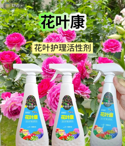 家庭养花用生根粉