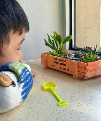 家庭养花用生根粉