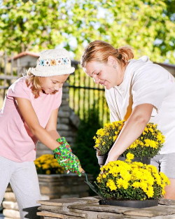 家庭养花用生根粉