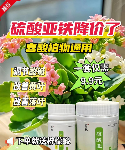 家庭养花用生根粉