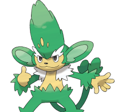 如何培养花椰猿