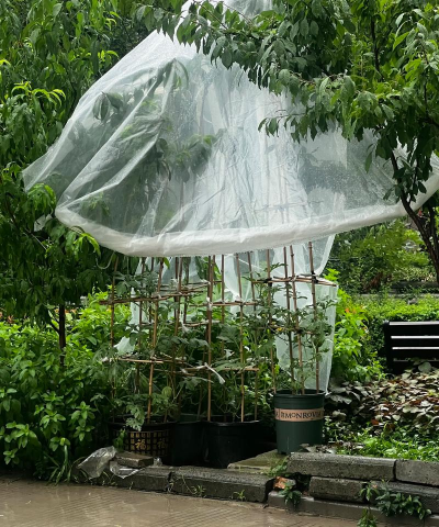自制家里养花雨蓬教程