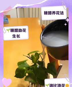 家庭养花用生根粉