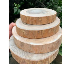 香樟木托盘养花