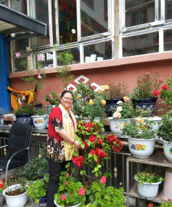 家庭养花用生根粉