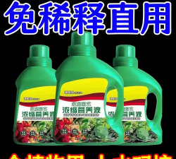 家庭养花用生根粉