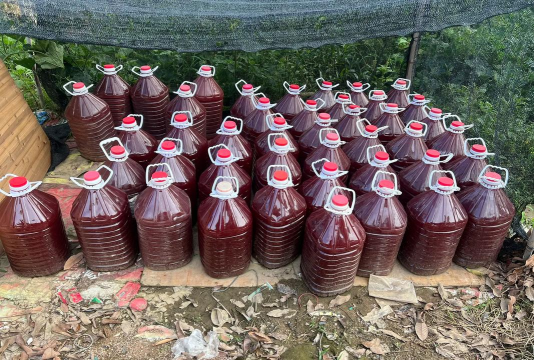 家庭养花用生根粉