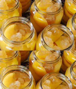 黄桃罐头糖水养花