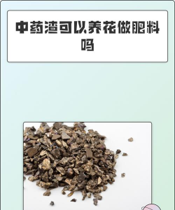 药渣子可以养花吗