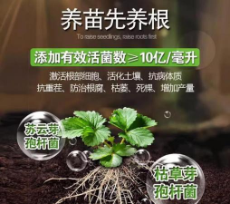 家庭养花用生根粉