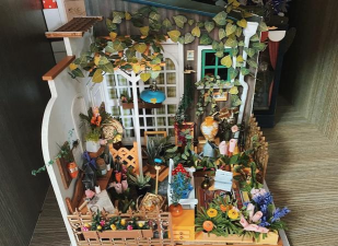 家庭养花用生根粉