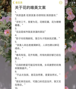 养花霸气文案短句伤感