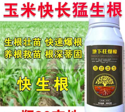 家庭养花用生根粉