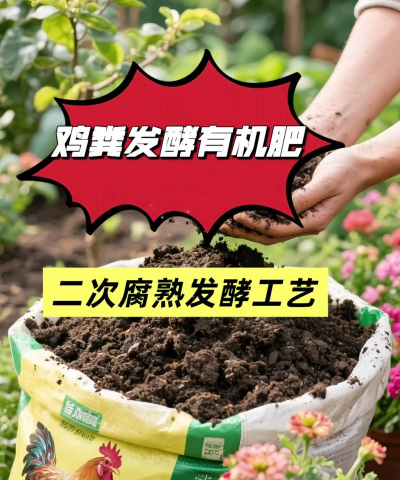 鸡屎肥可以养花吗