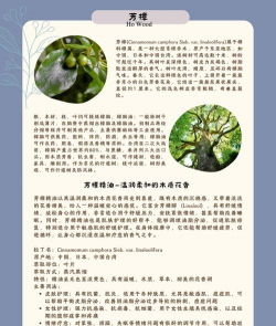 香油对养花的作用