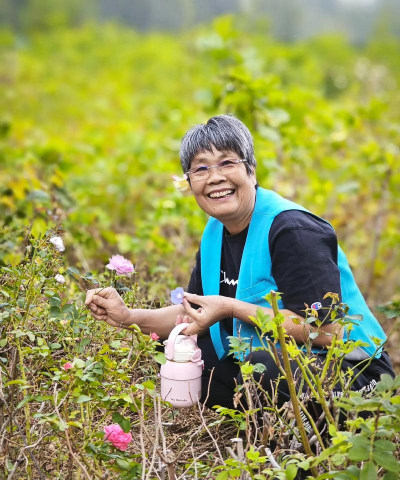 家庭养花用生根粉