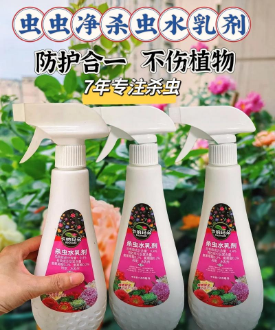 无土栽培技术，突破土壤限制，开启高效种植新篇章