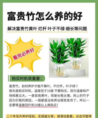 绿化景观设计，提升环境品质，创造宜人空间