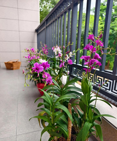 绿化景观设计，提升环境品质，创造宜人空间