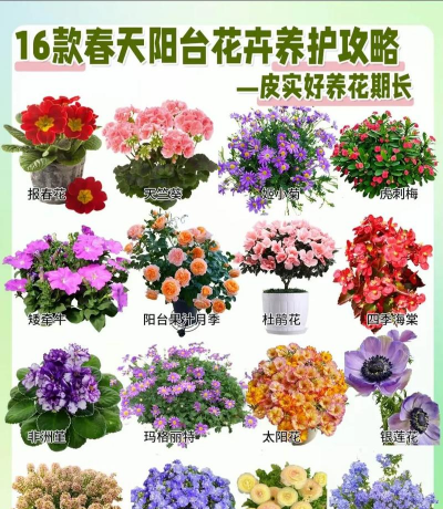 绿化景观设计，提升环境品质，创造宜人空间