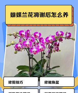 绿化景观设计，提升环境品质，创造宜人空间