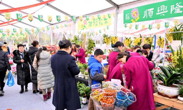 家庭养花用生根粉