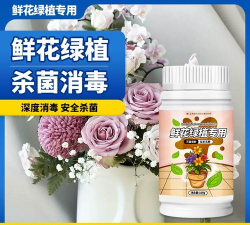 家庭养花用生根粉