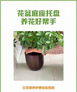 养花底座托盘怎么安装