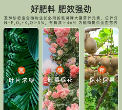 家庭养花用生根粉