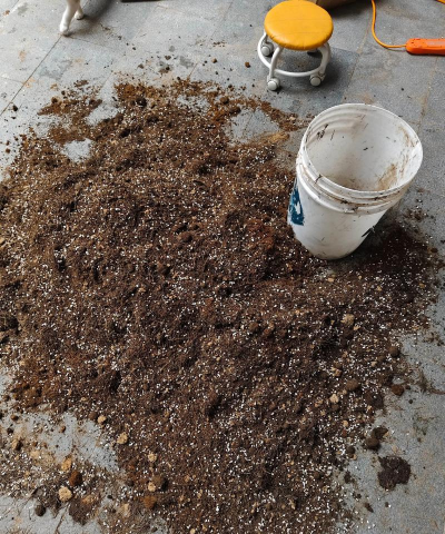 家庭养花用生根粉