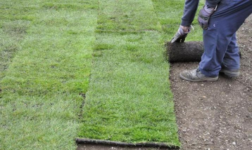 草皮好不好养花