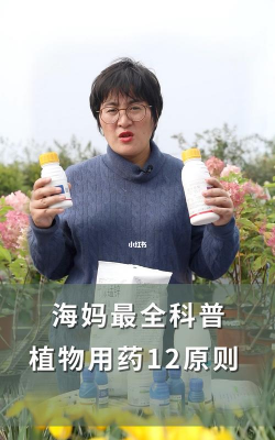 家庭养花用生根粉